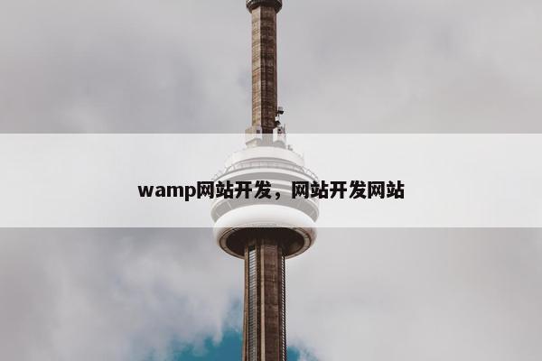 wamp网站开发，网站开发网站