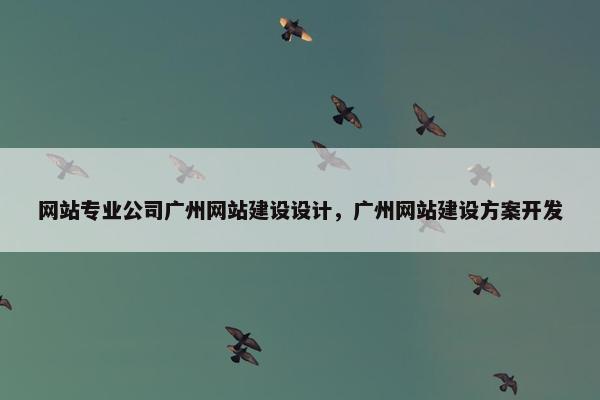 网站专业公司广州网站建设设计，广州网站建设方案开发