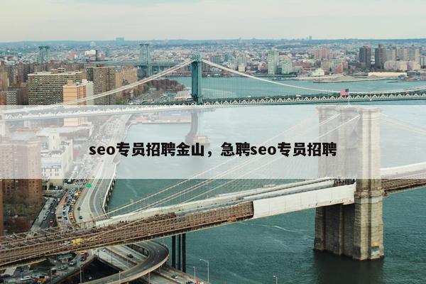 seo专员招聘金山，急聘seo专员招聘