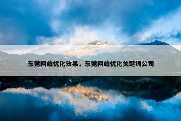 东莞网站优化效果，东莞网站优化关键词公司