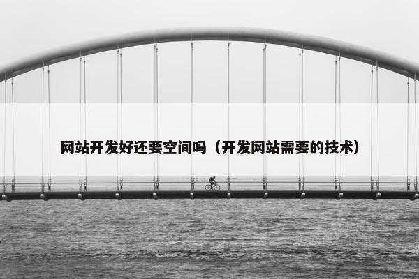 网站开发好还要空间吗（开发网站需要的技术）