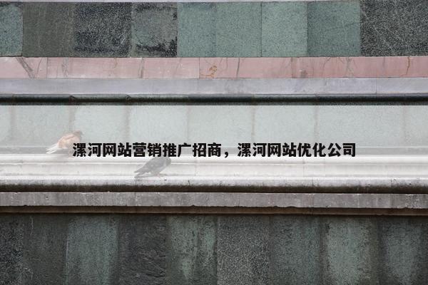 漯河网站营销推广招商，漯河网站优化公司