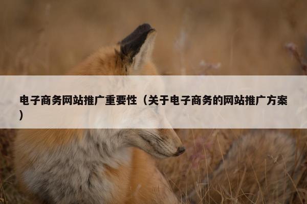 电子商务网站推广重要性（关于电子商务的网站推广方案）