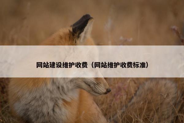 网站建设维护收费（网站维护收费标准）