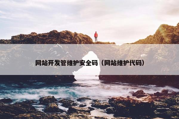 网站开发管维护安全码（网站维护代码）