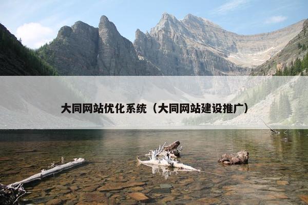 大同网站优化系统（大同网站建设推广）