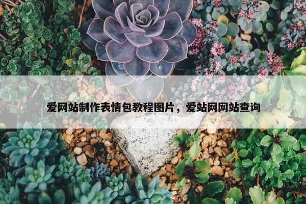 爱网站制作表情包教程图片，爱站网网站查询