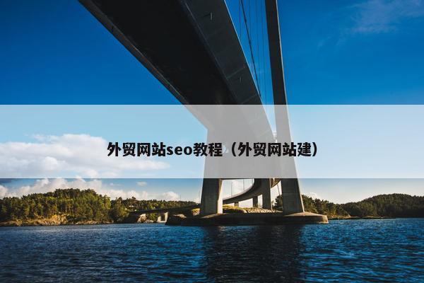外贸网站seo教程（外贸网站建）