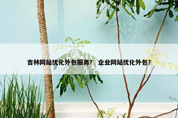吉林网站优化外包服务？ 企业网站优化外包？