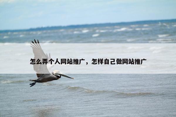 怎么弄个人网站推广，怎样自己做网站推广