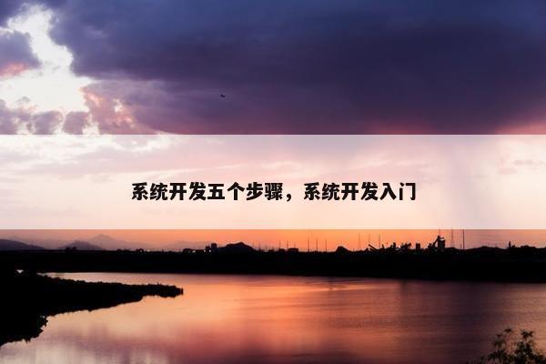 系统开发五个步骤，系统开发入门