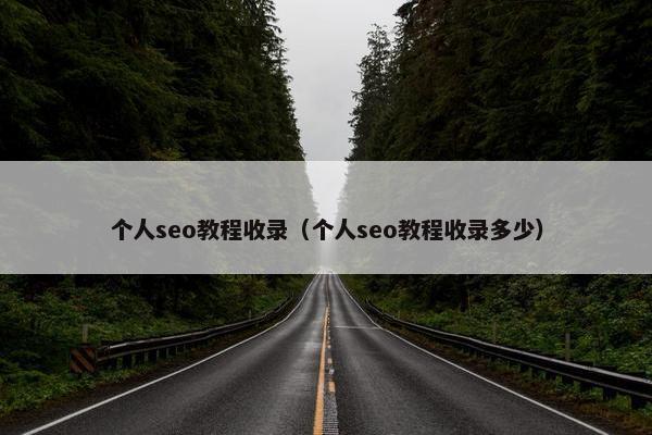 个人seo教程收录（个人seo教程收录多少）