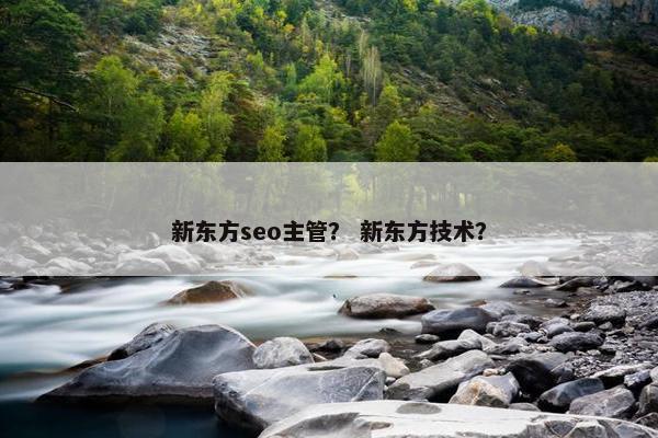 新东方seo主管？ 新东方技术？
