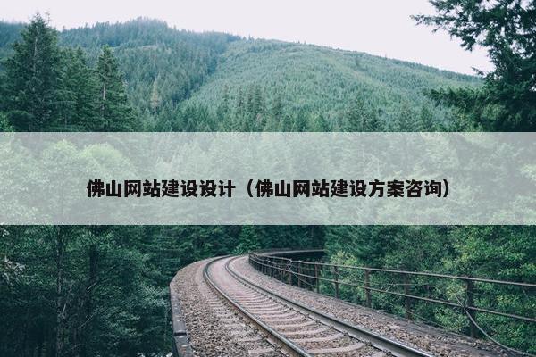 佛山网站建设设计（佛山网站建设方案咨询）