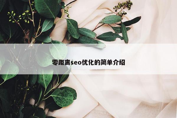 零距离seo优化的简单介绍