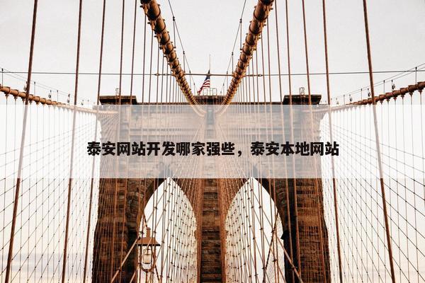 泰安网站开发哪家强些，泰安本地网站