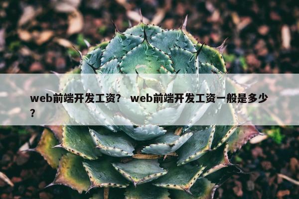 web前端开发工资？ web前端开发工资一般是多少？