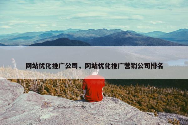 网站优化推广公司，网站优化推广营销公司排名