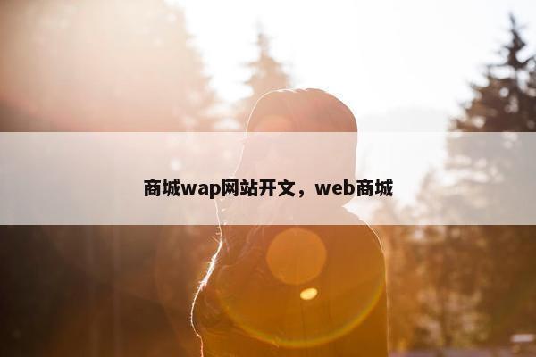 商城wap网站开文，web商城