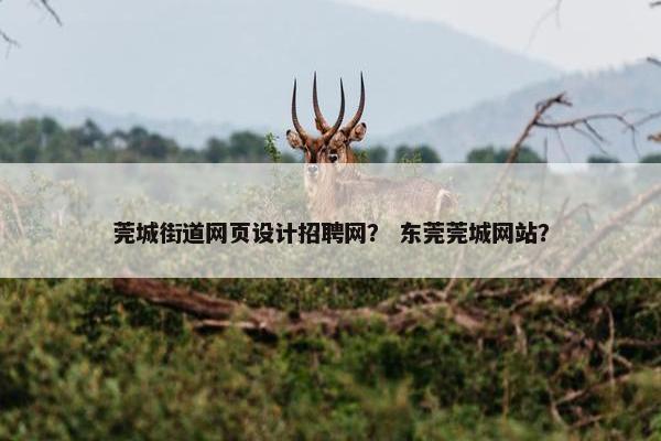 莞城街道网页设计招聘网？ 东莞莞城网站？
