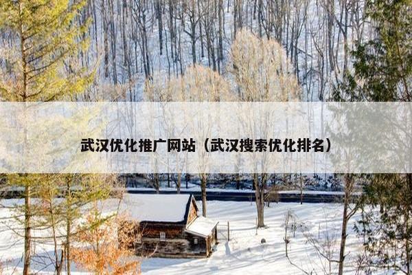 武汉优化推广网站（武汉搜索优化排名）