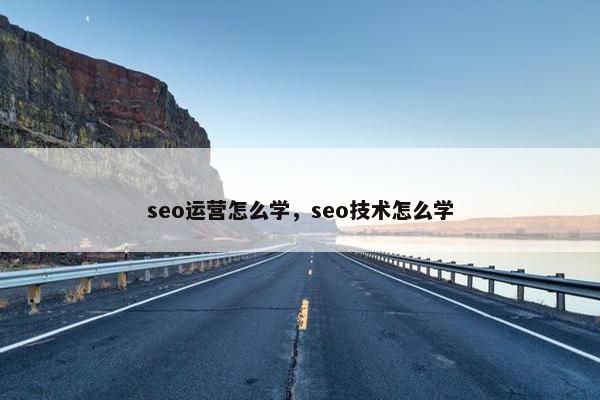 seo运营怎么学，seo技术怎么学
