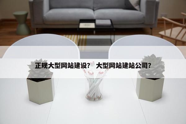 正规大型网站建设？ 大型网站建站公司？