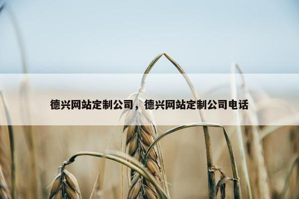 德兴网站定制公司，德兴网站定制公司电话