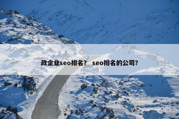 政企业seo排名？ seo排名的公司？