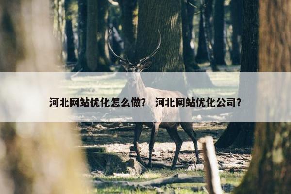河北网站优化怎么做？ 河北网站优化公司？