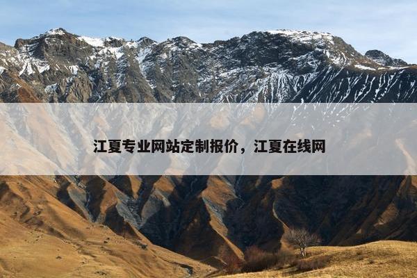 江夏专业网站定制报价，江夏在线网