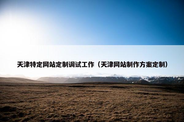 天津特定网站定制调试工作（天津网站制作方案定制）