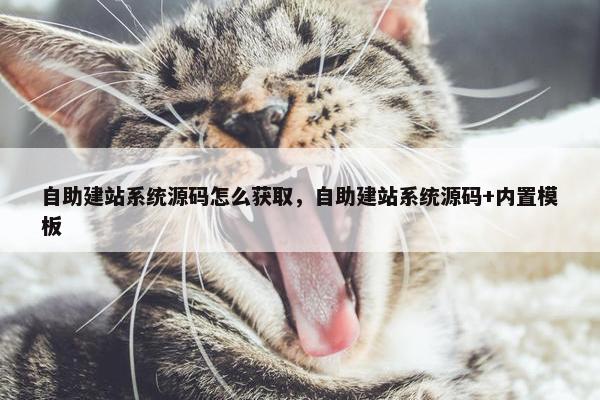 自助建站系统源码怎么获取，自助建站系统源码+内置模板