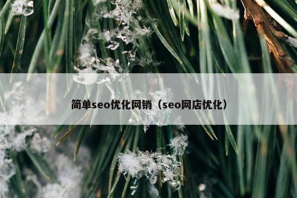 简单seo优化网销（seo网店优化）