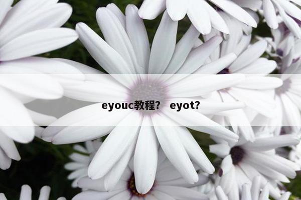 eyouc教程？ eyot？