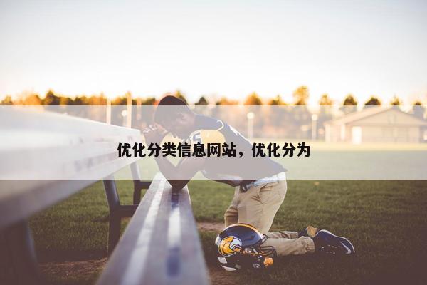 优化分类信息网站，优化分为