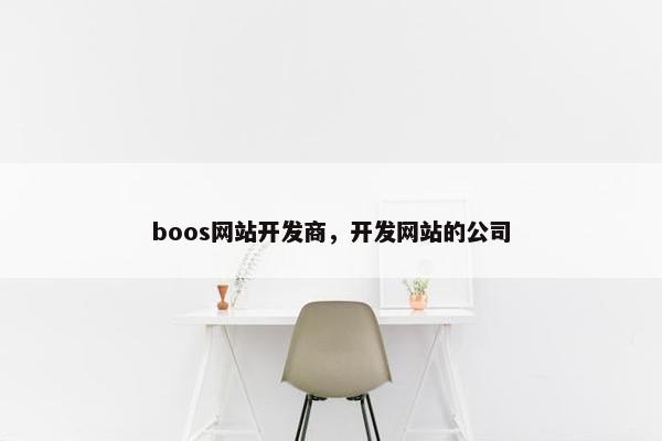 boos网站开发商，开发网站的公司