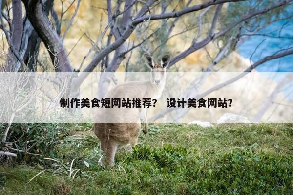 制作美食短网站推荐？ 设计美食网站？