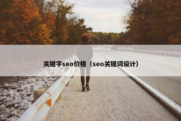 关键字seo价格（seo关键词设计）