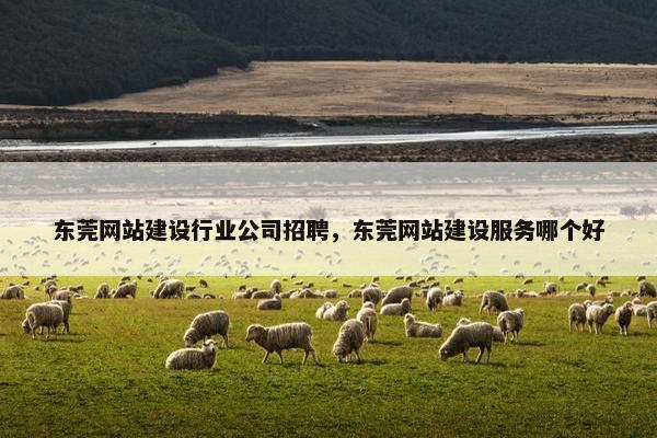 东莞网站建设行业公司招聘，东莞网站建设服务哪个好