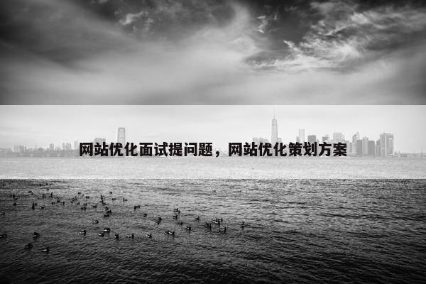 网站优化面试提问题，网站优化策划方案