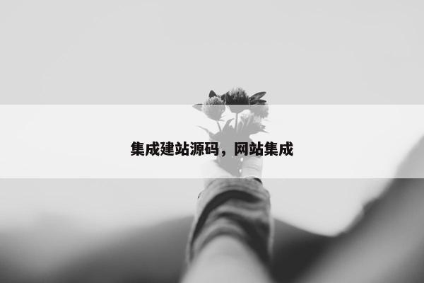 集成建站源码，网站集成