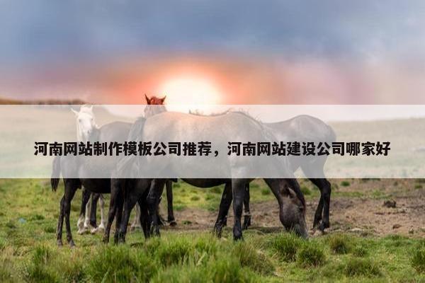 河南网站制作模板公司推荐，河南网站建设公司哪家好