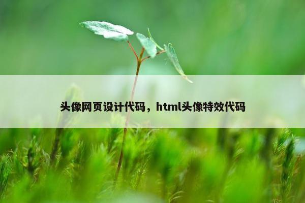 头像网页设计代码，html头像特效代码