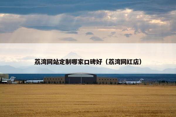 荔湾网站定制哪家口碑好（荔湾网红店）