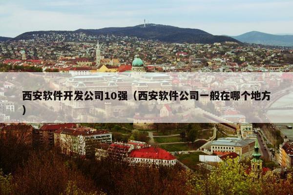 西安软件开发公司10强（西安软件公司一般在哪个地方）