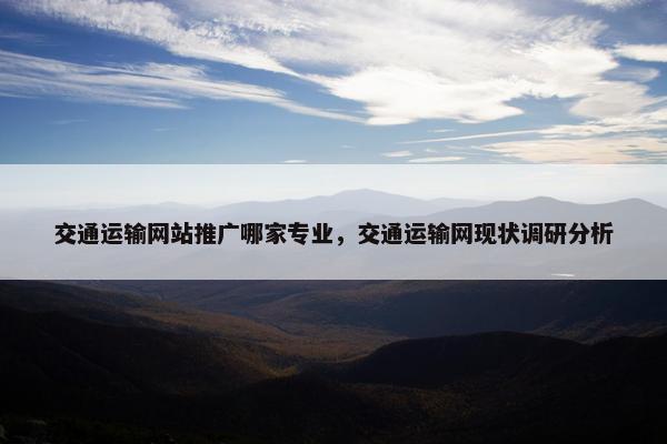 交通运输网站推广哪家专业，交通运输网现状调研分析