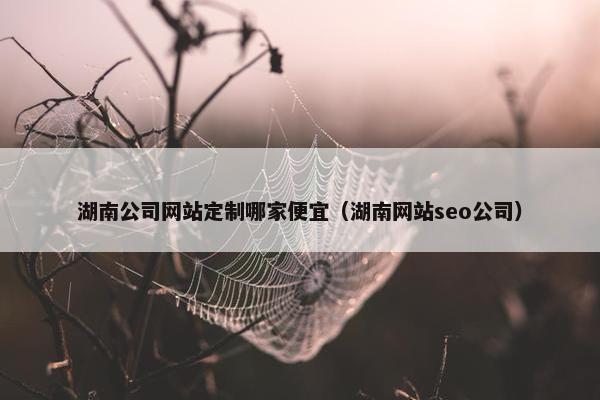 湖南公司网站定制哪家便宜（湖南网站seo公司）