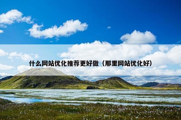 什么网站优化推荐更好做（那里网站优化好）