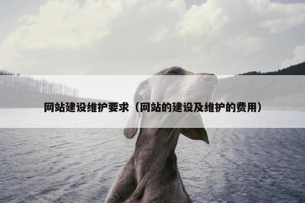 网站建设维护要求（网站的建设及维护的费用）